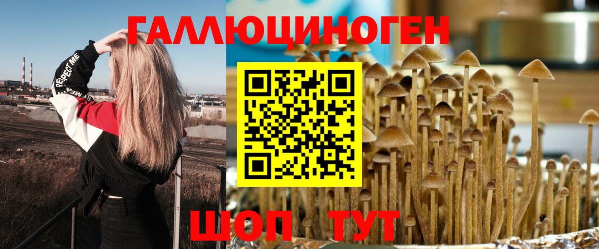 Бузулук  Псилоцибиновые грибы MAGIC MUSHROOMS  Вход с VPN 